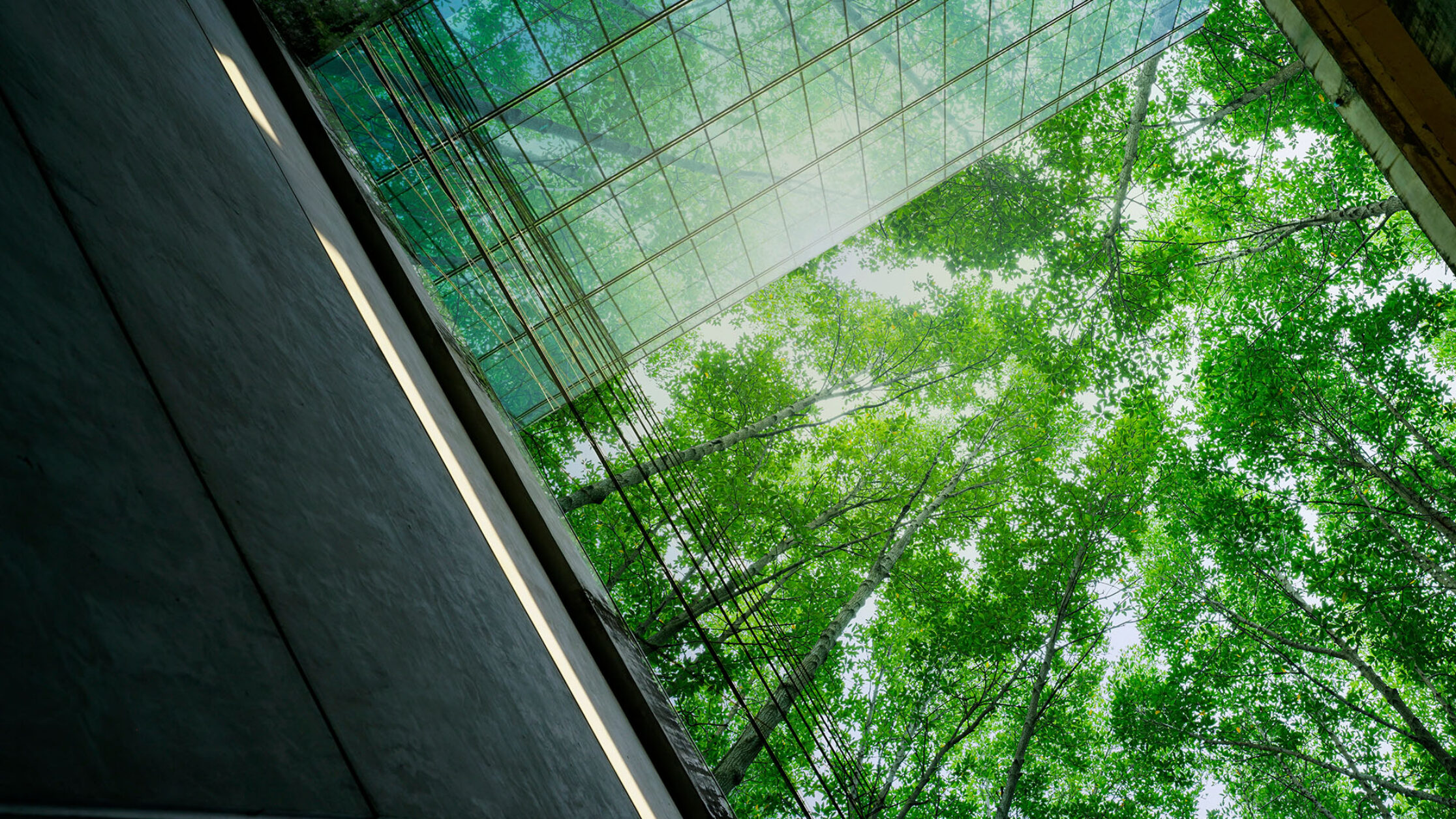 Actively pursuing Sustainability